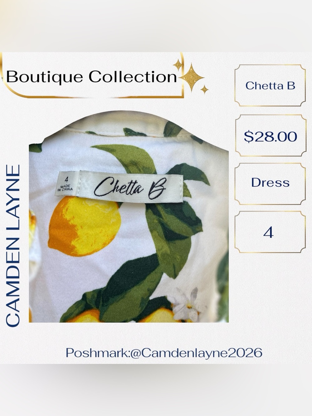 Chetta B White Maxi Dress with Lemon Print and Green Leaves - Picture 6 of 9